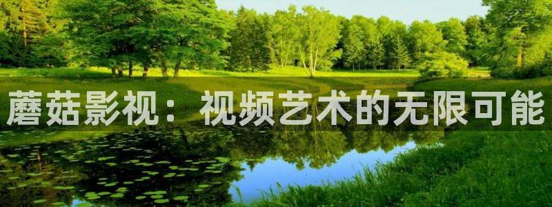 奇米在线观看视频免费：蘑菇影视：视频艺术的无限可能