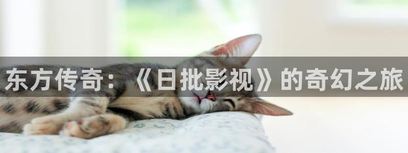 奇米在线观看888