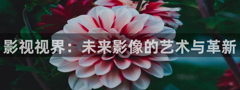 奇米在线三级观看