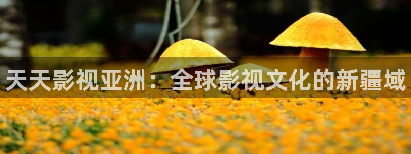 奇米在线视频播放：天天影视亚洲：全球影视文化的新疆域